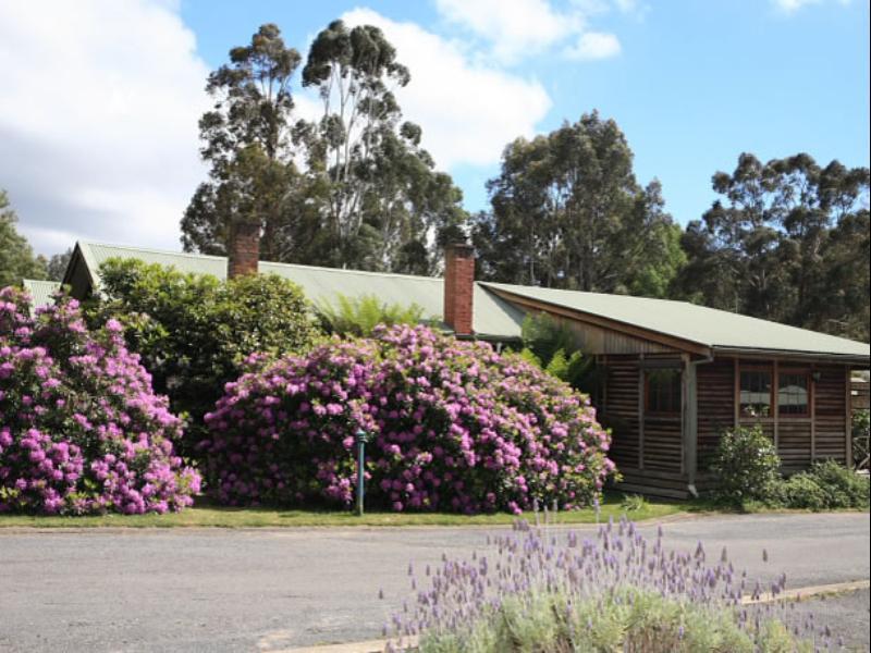 Halls Gap Log Cabins المظهر الخارجي الصورة